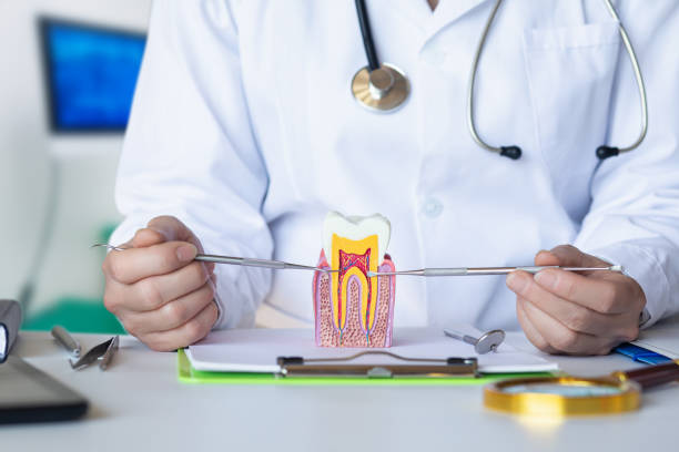 Best After-Hours Dental Trauma Care in Pantops, VA